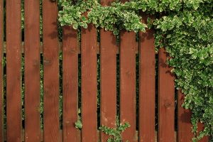 Fencing