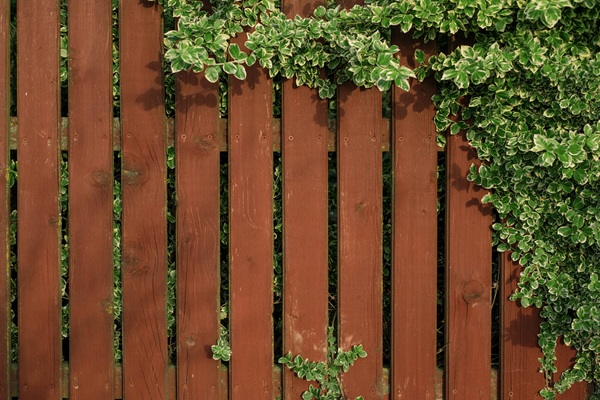 Fencing