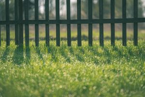 fencing