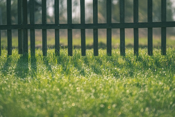 fencing